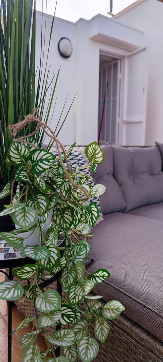Apartamento Casa De Alba Cabo Cervera La Mata ตอร์เรเวียคา ภายนอก รูปภาพ