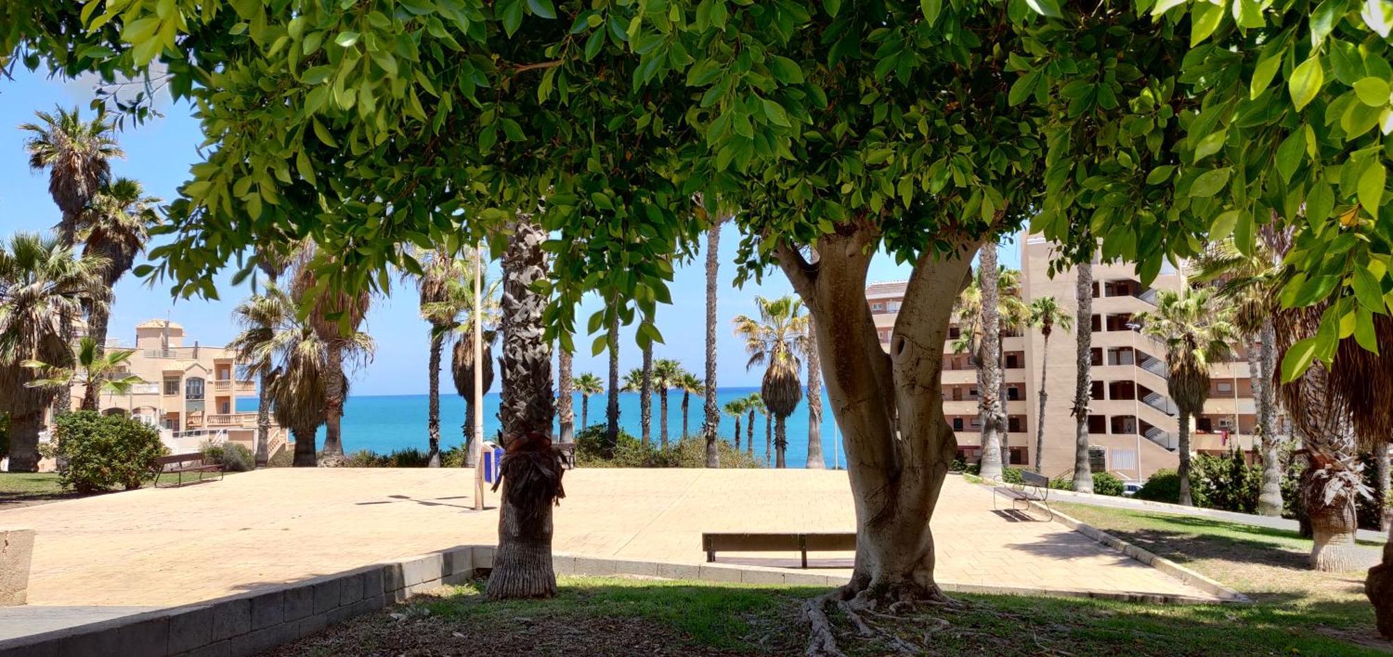 Apartamento Casa De Alba Cabo Cervera La Mata ตอร์เรเวียคา ภายนอก รูปภาพ